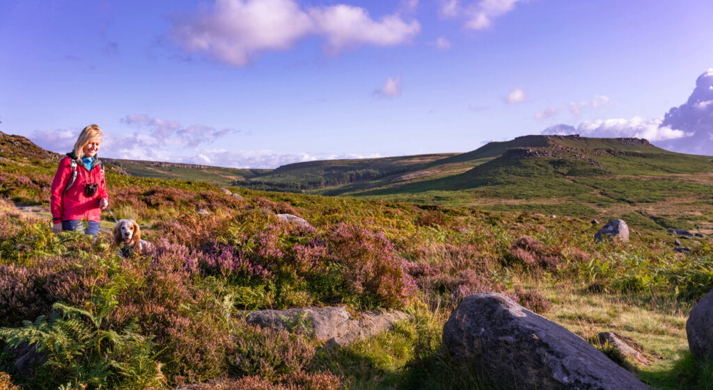 Walk Padley Gorge